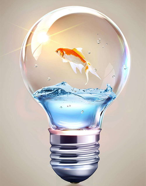 中國照明 化劣勢(shì)為優(yōu)勢(shì) 巧用促銷聚集人氣